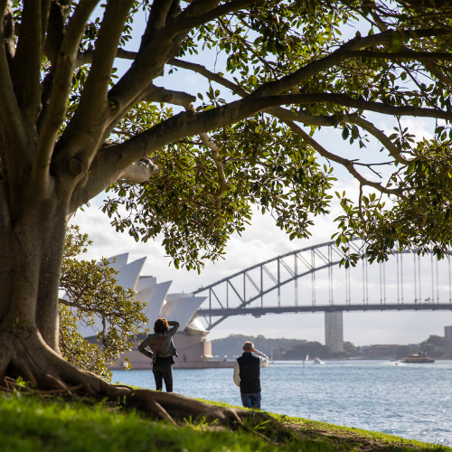 <strong>Royal Botanic Gardens</strong>