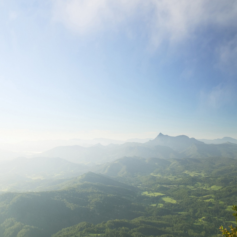 Misty Mountain Camping Area