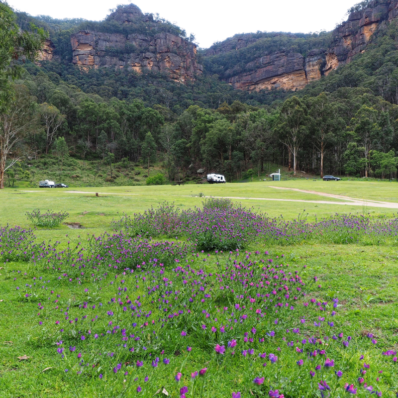 <strong>Newnes Campground</strong>