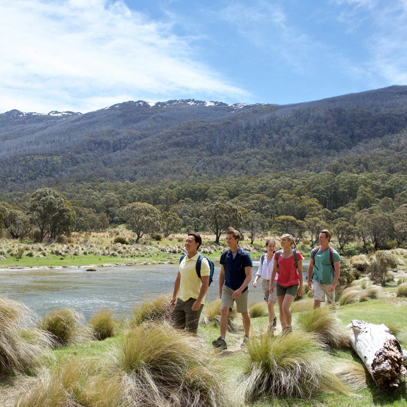 <strong>Thredbo Diggings Campground</strong>