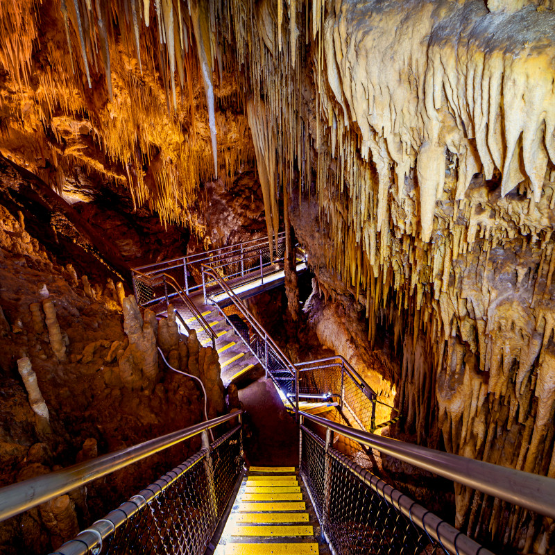 <strong>Newdegate Cave</strong>, Hastings Caves State Reserve