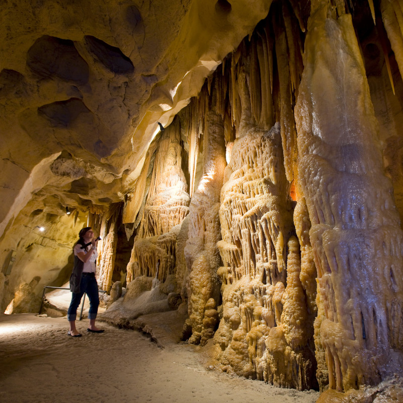 <strong>Princess Margaret Rose Cave</strong>, Lower Glenelg National Park