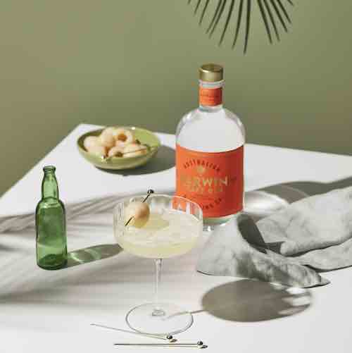 <strong>Lychee Martini</strong>