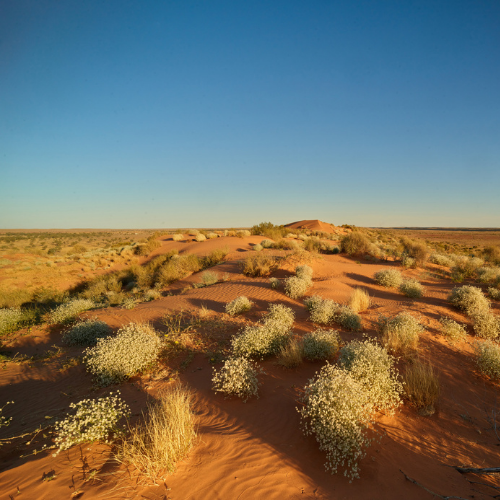 Munga-Thirri National Park