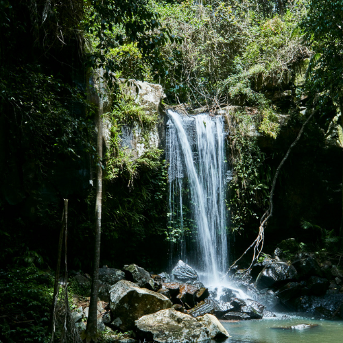 Tamborine National Park