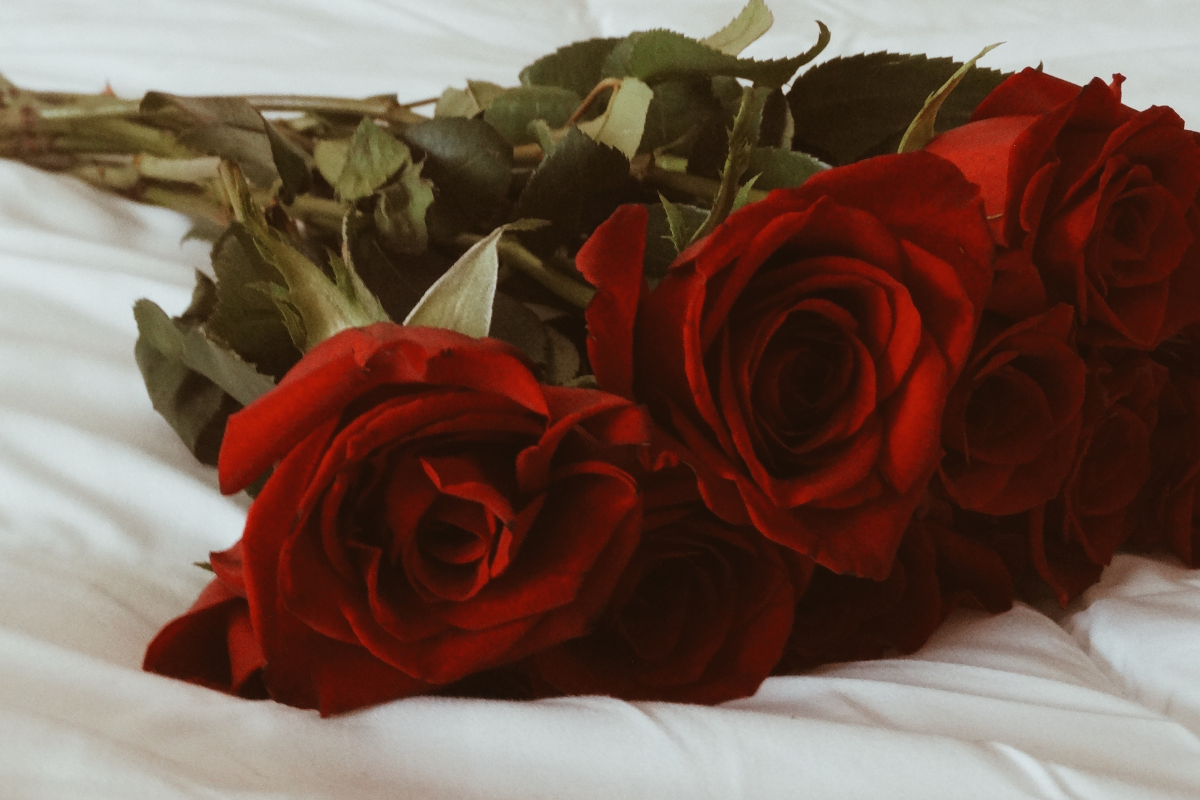 Valentine's Day 2023 Australia's Best Flower Bouquet Delivery Services. Photographed by joyfulcaptures. Image via Unsplash.