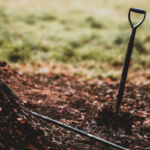 7 Easy Tips on How to Create a Sustainable and Eco-friendly Garden. Photographed by Annie Spratt. Image via Unsplash.