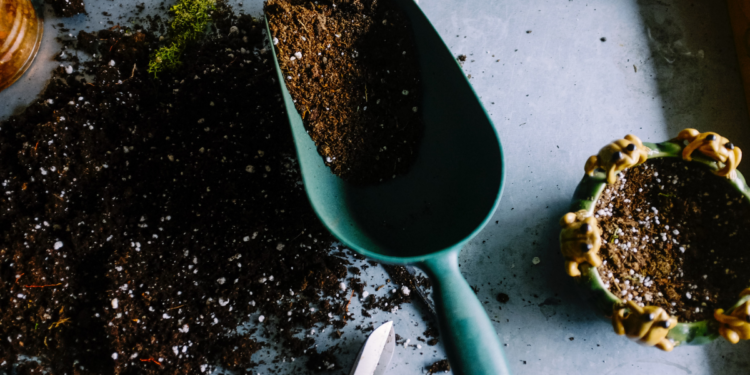 7 Easy Tips on How to Create a Sustainable and Eco-friendly Garden. Photographed by Neslihan Gunaydin. Image via Unsplash.