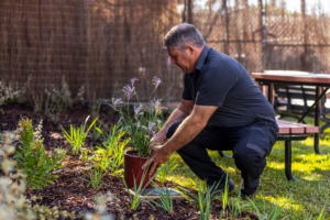 7 Easy Tips on How to Create a Sustainable and Eco-friendly Garden. Stuart Griffiths. Image supplied.