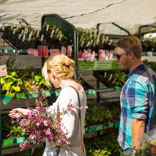 <strong>Adelaide Farmers' Market</strong>