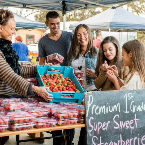 <strong>Willunga Farmers Market</strong>