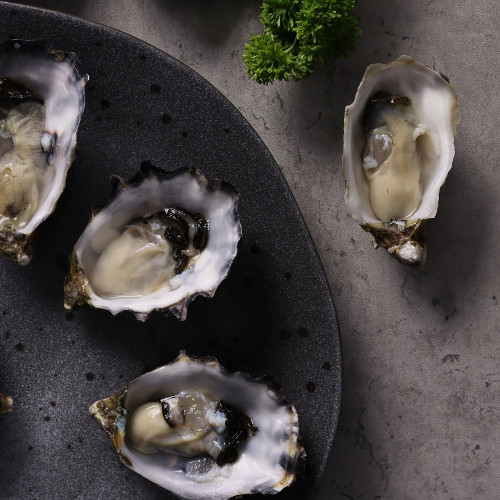 St. Helen's Shucked Pacific Oysters