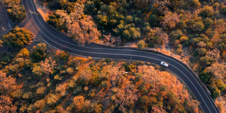The 10 Best Small Towns in Australia to Visit in 2022. Tamworth, New South Wales. Photographed by Daniel Tran. Image via Destination NSW.
