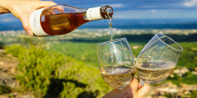 Wine Australia Red White Alcohol Autumn