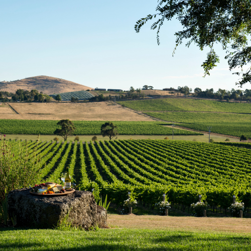 <strong>Yarra Valley Wine Trail</strong>