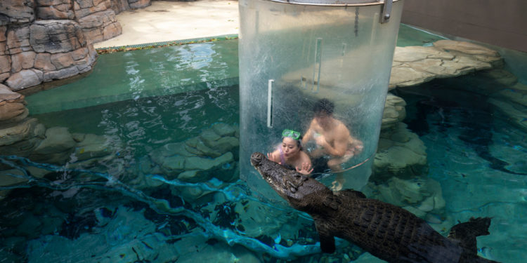 Things To Do In Darwin Activities Attractions Tourism