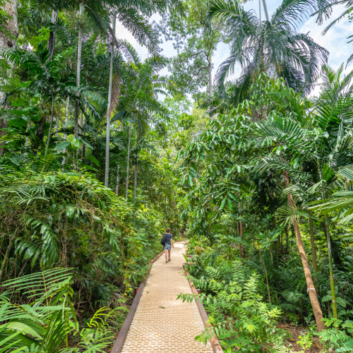 Lose Yourself in George Brown Botanic Gardens