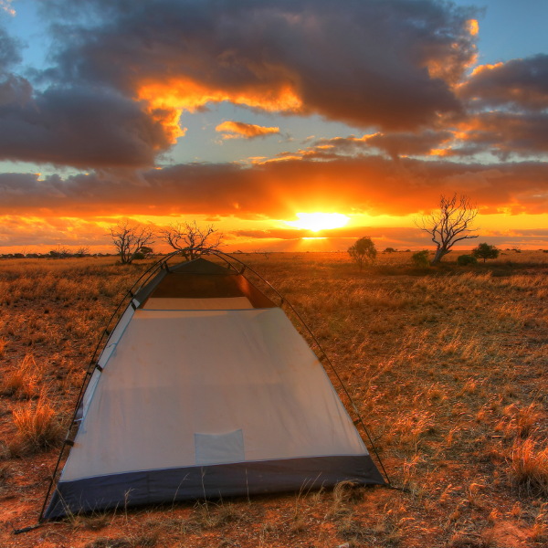 Nullarbor Plain