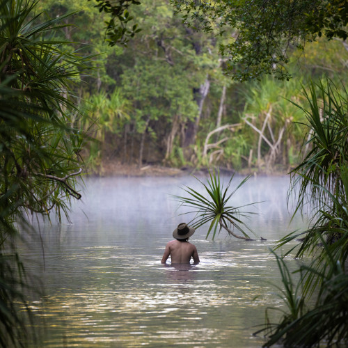 Embrace Nature at Berry Springs