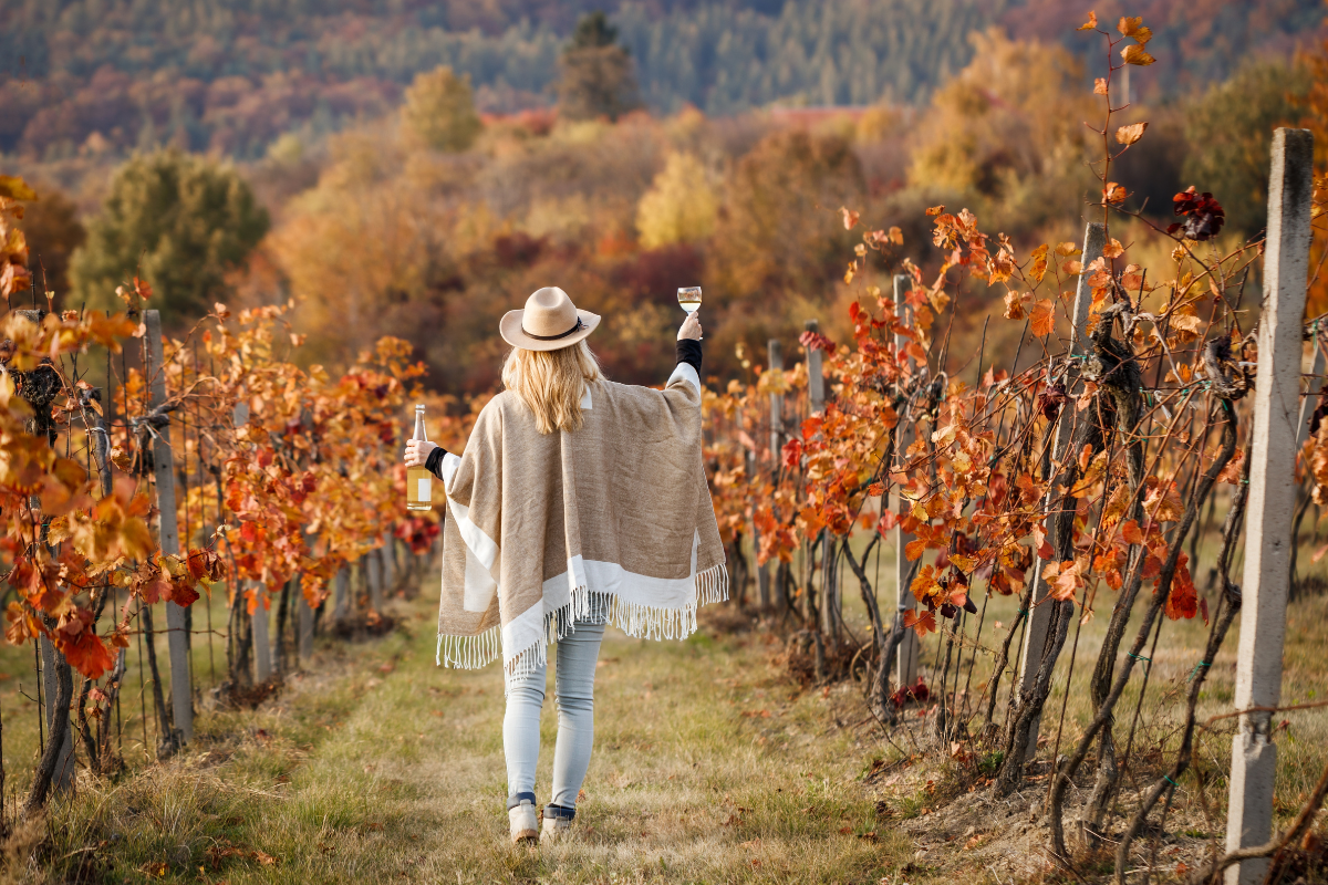 The 8 Best Australian Made Autumn Wines for 2023. Photographed by encierro. Image via Shutterstock.