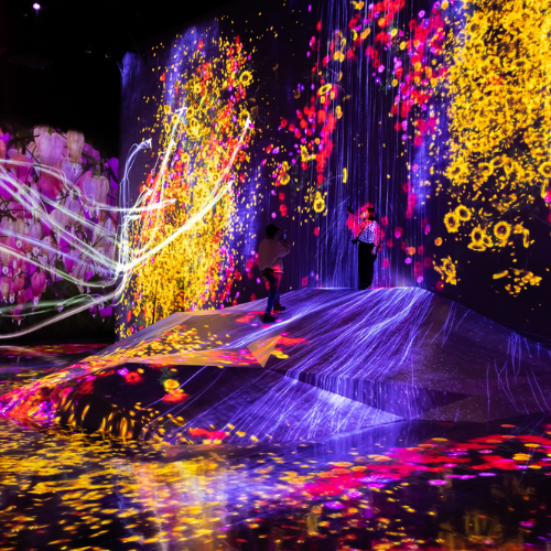 <strong>teamLab Planets Tokyo</strong>