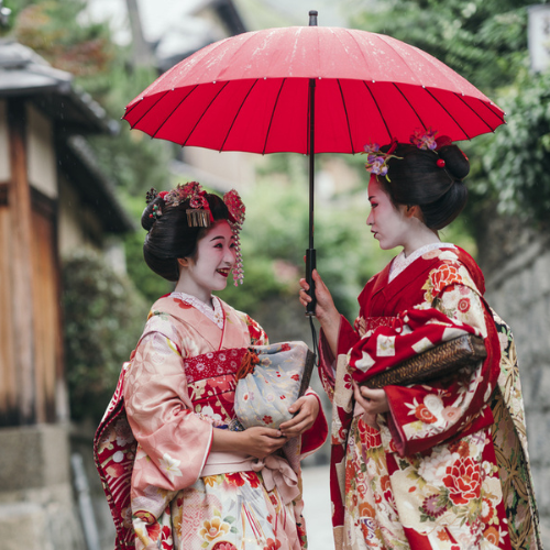 <strong>Geisha Night Walk in Gion</strong>