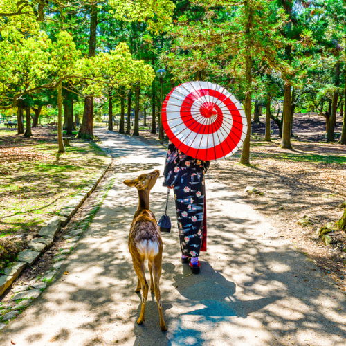 <strong>Nara Park</strong>