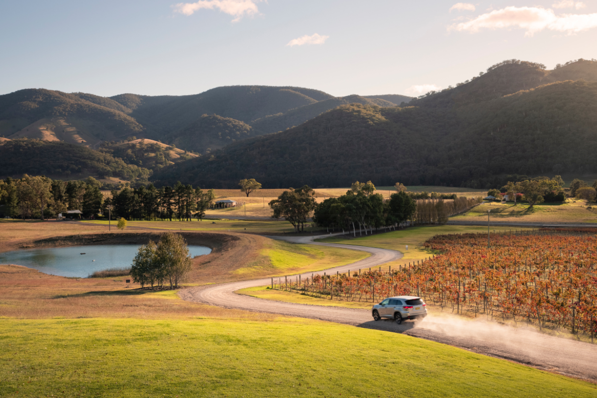 Logan Wines. Photographed by Daniel Tran. Image via Destination NSW.