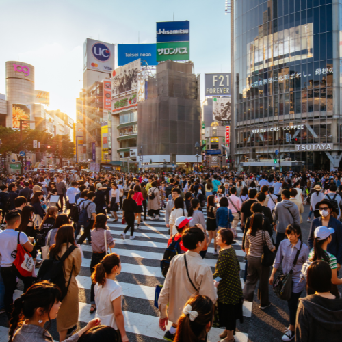 <strong>Shibuya Crossing</strong>