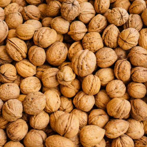 <strong>Kookootonga Chestnut and Walnut Farm</strong>