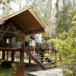 Outside Paperbark Camp, NSW. Image via Destination NSW