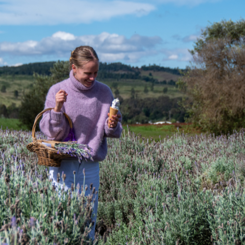 <strong>Pottique Lavender Farm</strong>