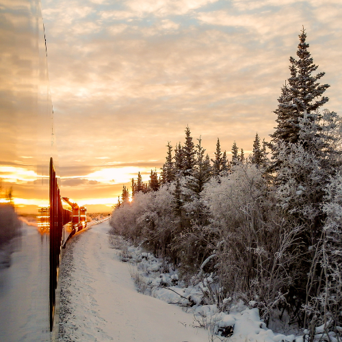 <strong>Aurora Winter Train</strong>