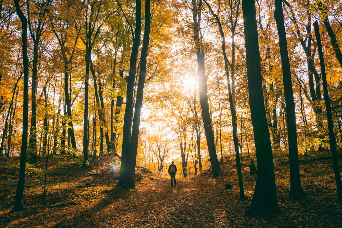 Man standing in a forest. Photography by Aaron Burden. Image via Unsplash