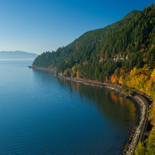 <strong>Coast Starlight</strong>