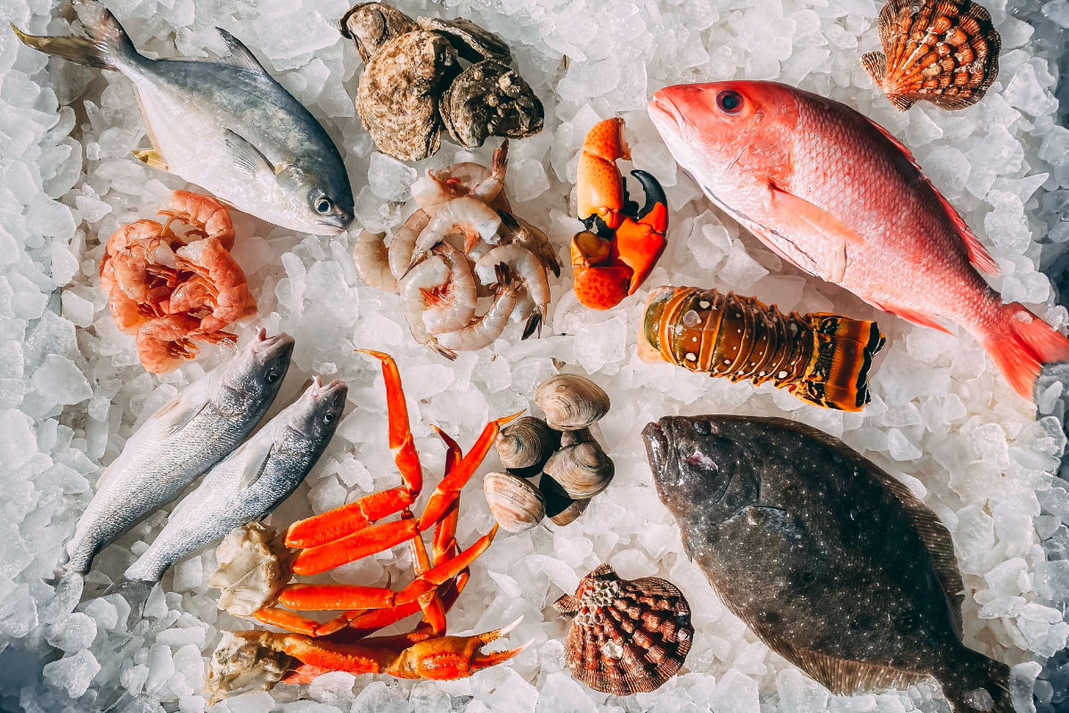 Seafood in ice. Photography by Mike Bergmann. Image via Unsplash
