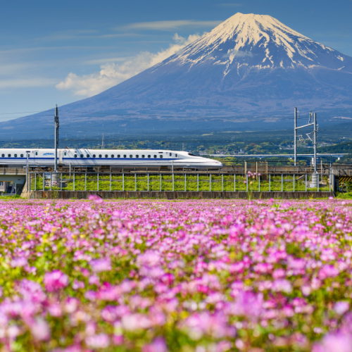 <strong>Tokaido Shinkansen</strong>