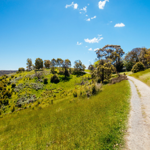 <strong>Yarra River Heritage Walk</strong>