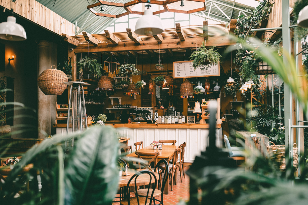 Cafe with plants inside. Photography by Ruben Ramirez. Image via Unsplash