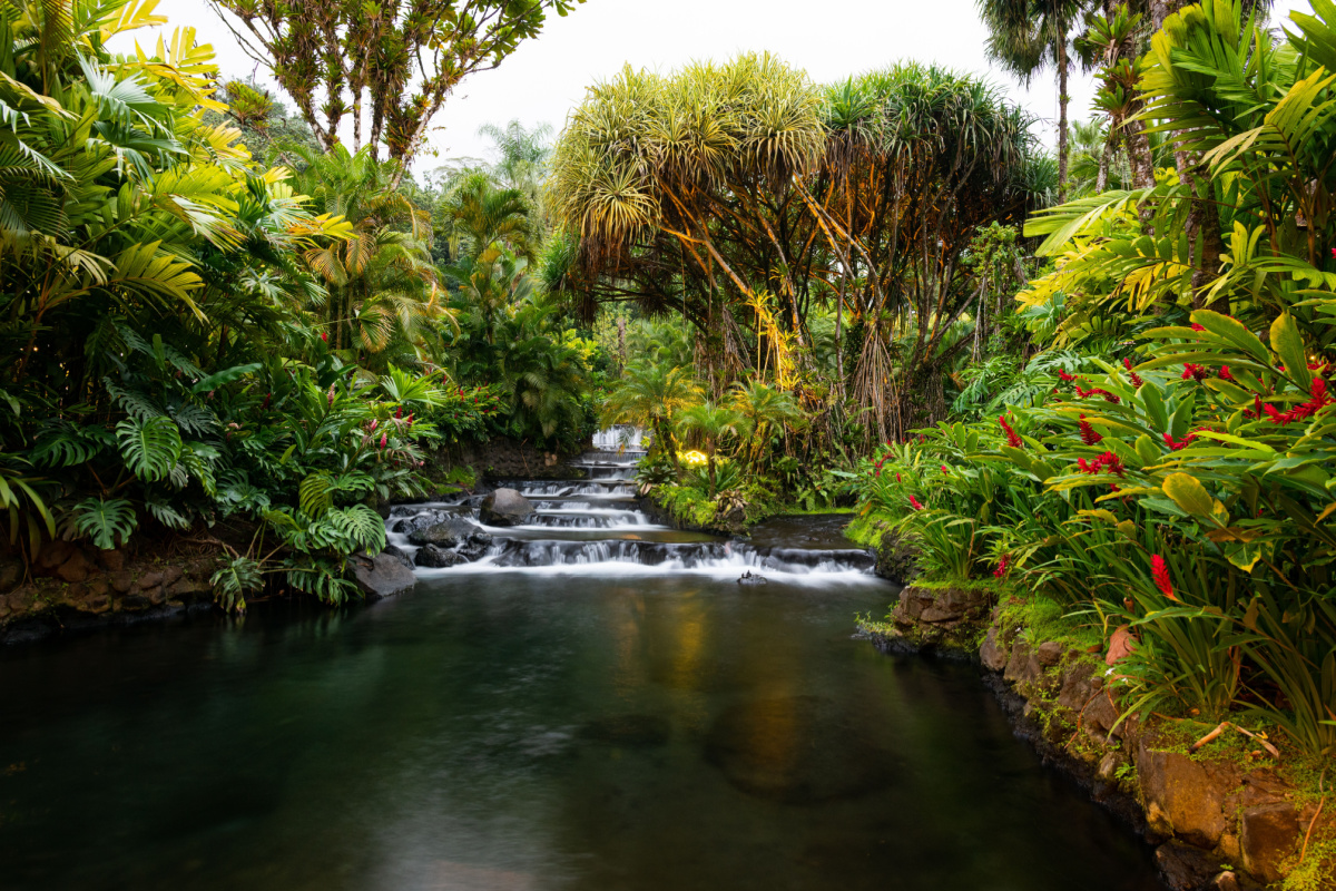 Hot spring. Photography by dryadphotos. Image vis Shutterstock