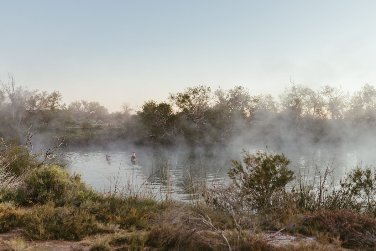 Dalhousie Springs, South Australia. Photographed by Renae Schulz. Image via South Australian Tourism Commission.