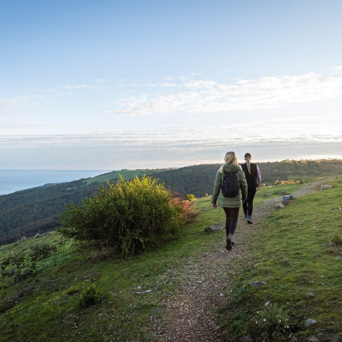 <strong>Deep Creek Conservation Park</strong>