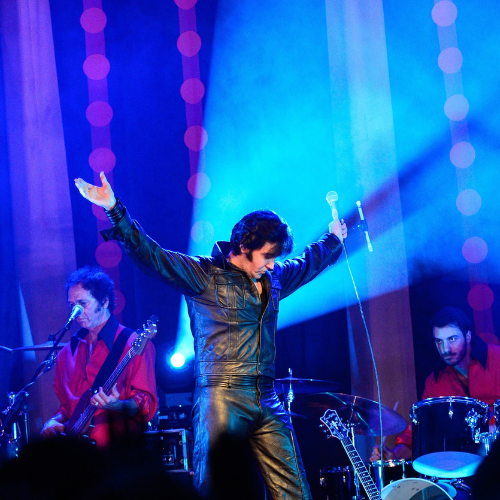 <strong>Elvis: A Musical Revolution</strong>