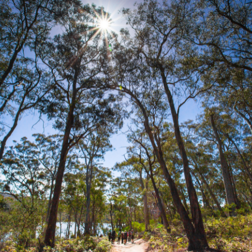 <strong>Freycinet National Park</strong>