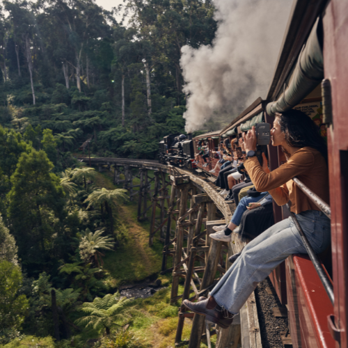 <strong>Puffing Billy</strong>