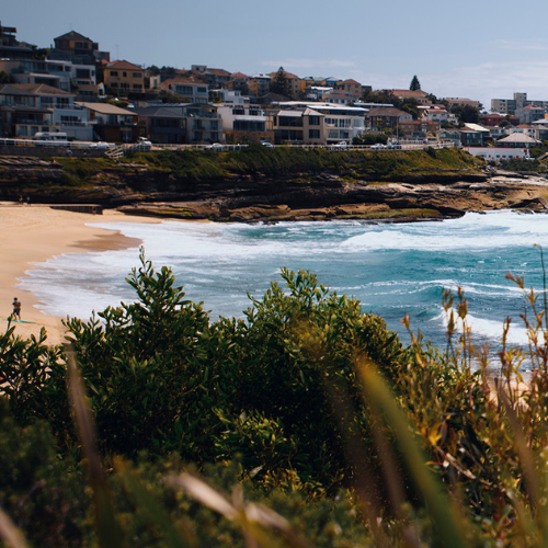 <strong>Bronte Park</strong>