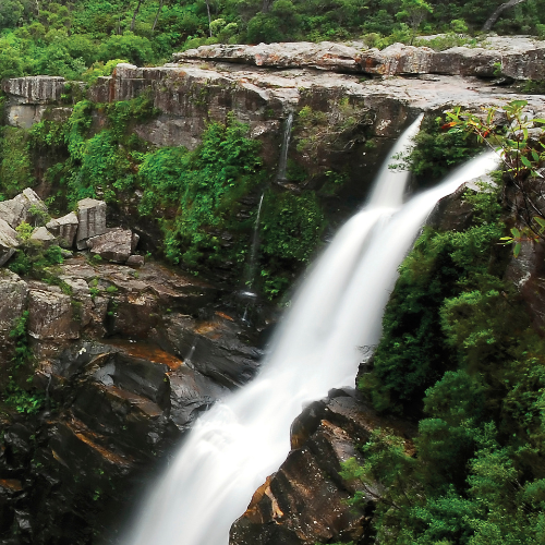 <strong>Carrington Falls</strong>