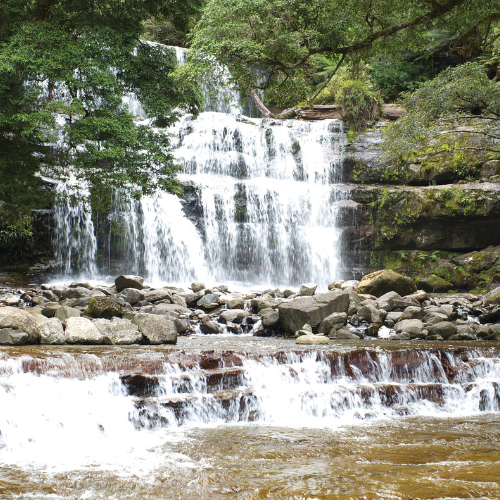 <strong>Liffey Falls</strong>