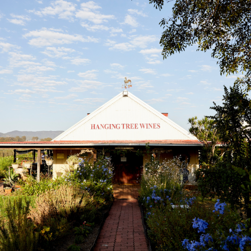 <strong>Hanging Tree Wines</strong>