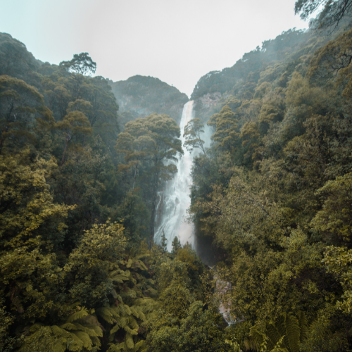 <strong>Montezuma Falls</strong>